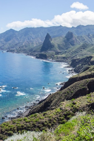 Coast of Tenerife