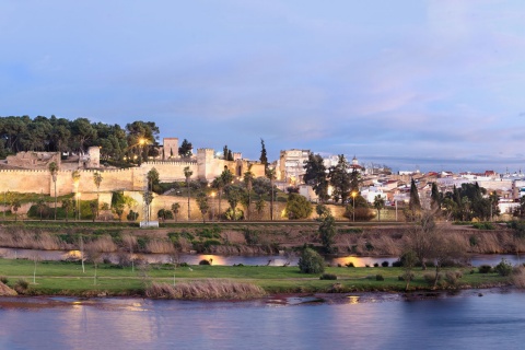 Vue de Badajoz