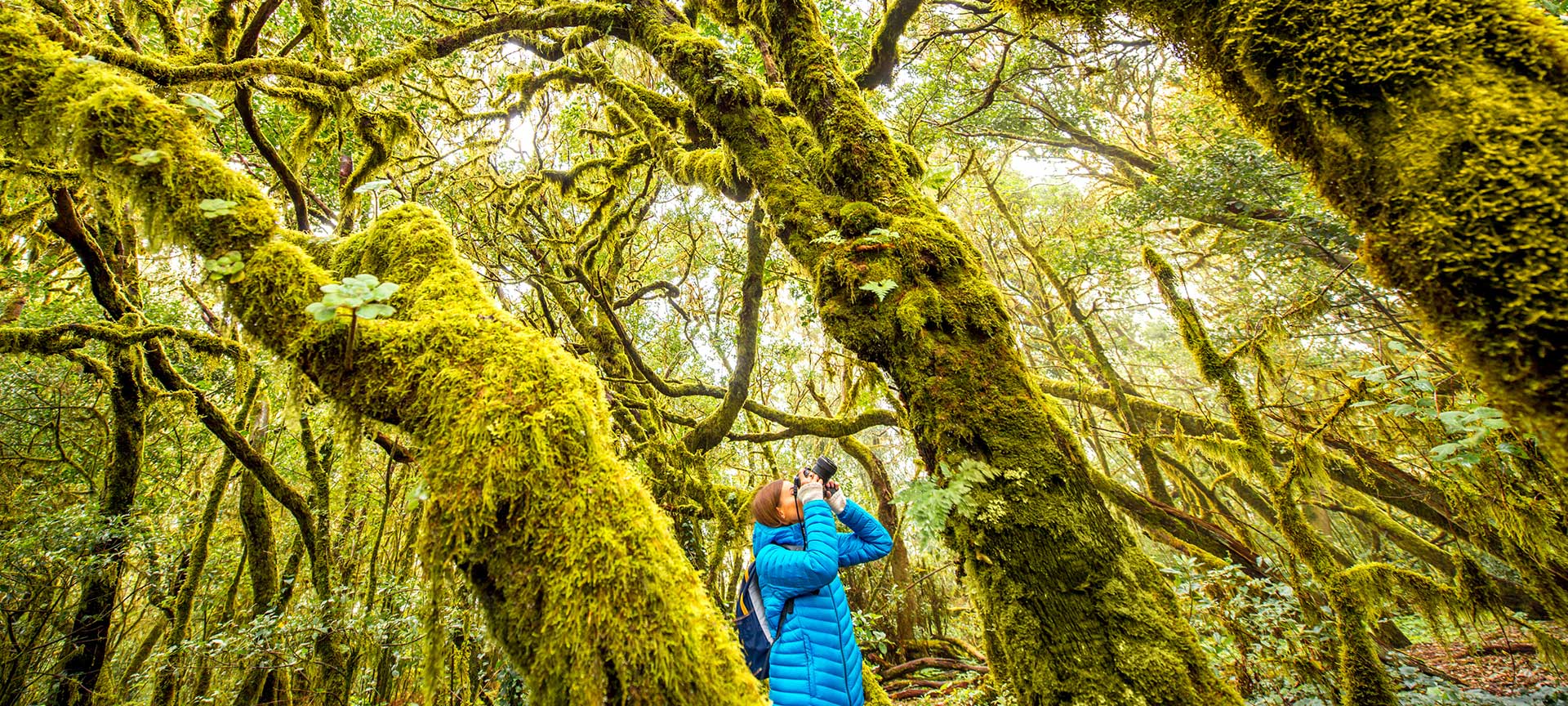 Park Narodowy Garajonay