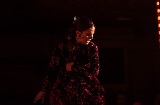 Un spectacle dans un cabaret de flamenco