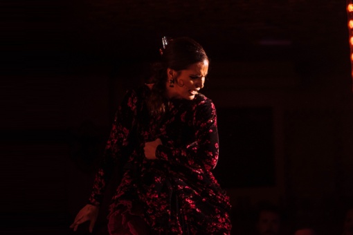 Performance no "tablao" flamenco