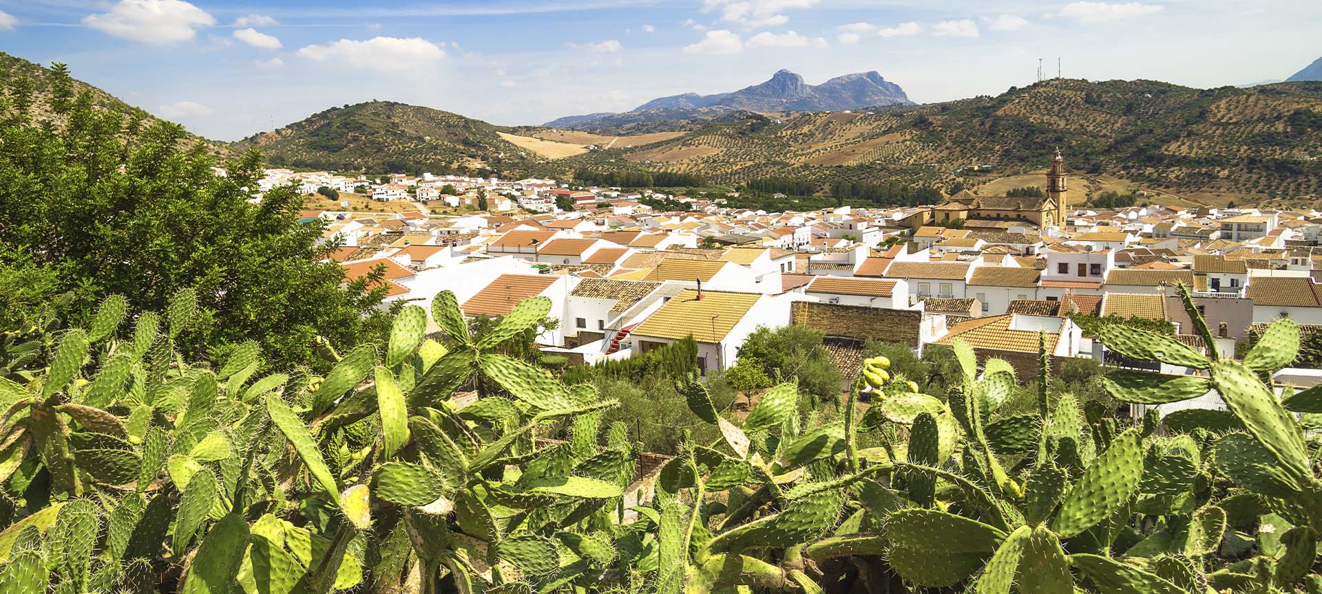Panoramablick auf Algodonales (Cádiz, Andalusien)