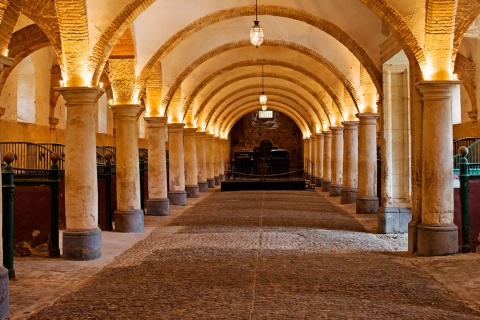 Caballerizas Reales. Córdoba