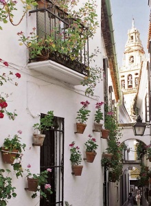 what to visit in cordoba spain