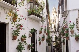 Calleja de las Flores Alley
