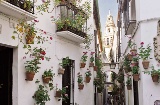 Calleja de las Flores w Kordobie