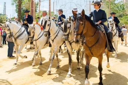 Feira de Cavalos de Jerez de la Frontera, em Cádis (Andaluzia)