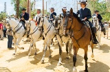 Targi Koni w Jerez de la Frontera, Kadyks (Andaluzja)