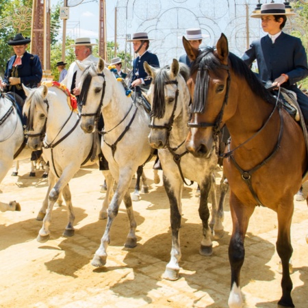 Fiera del Cavallo di Jerez de la Frontera, a Cadice (Andalusia)