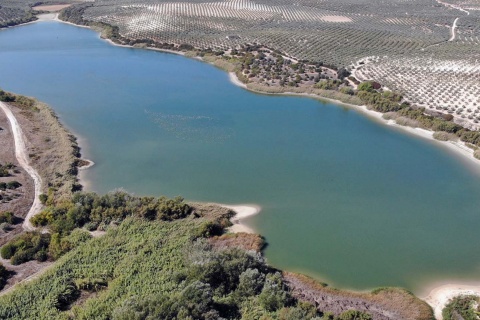 Laguna Zóñar. Riserva Naturale Lagune del Sud di Cordova