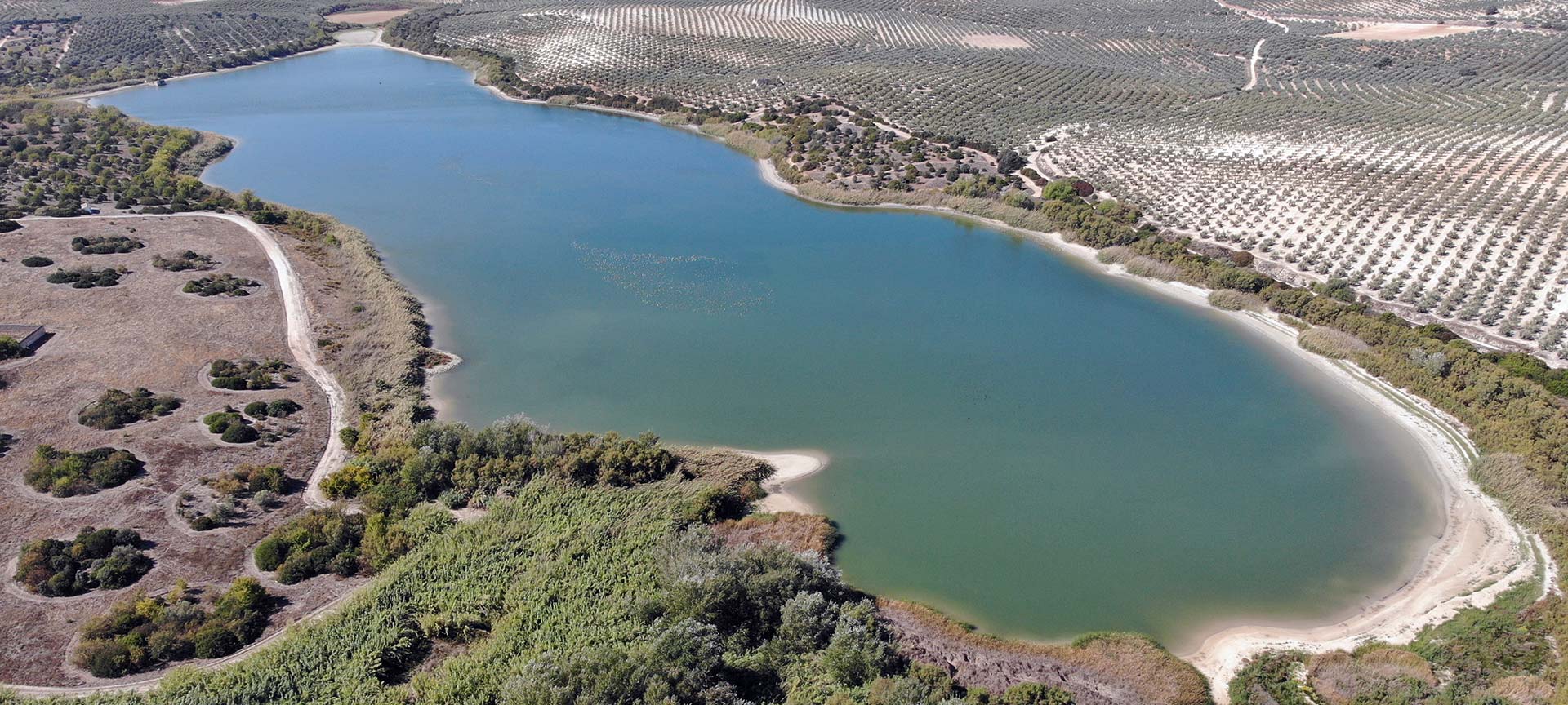 Zóñar Lagoon. Lagunas del Sur de Cordoba Natural Reserve Zóñar Lagoon. Lagunas del Sur de Cordoba Natural Reserve