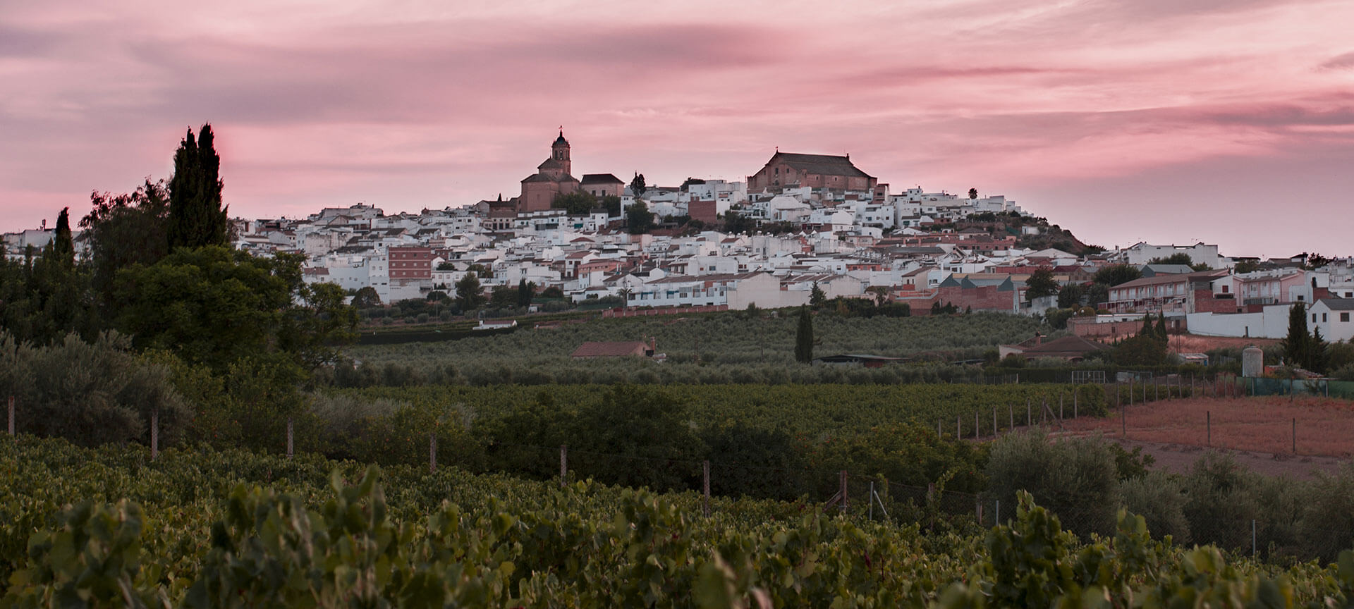 Panoramic view of Montilla (Cordoba, Andalusia)