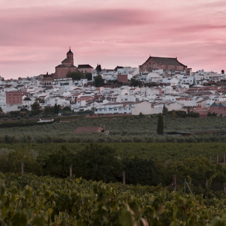 Panorâmica de Montilla (Córdoba, Andaluzia)