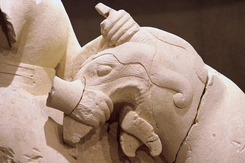 Détail de la sculpture « Griphomachie », qui représente la lutte de l’homme contre un animal mythologique. Ve siècle