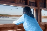 Donna che osserva esemplari di uccelli in un parco naturale