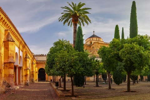 Patio de los Naranjos in the Great Mosque of Cordoba