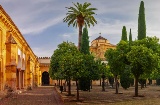 Dziedziniec Drzew Pomarańczowych Kościoła Katedralnego w Kordobie