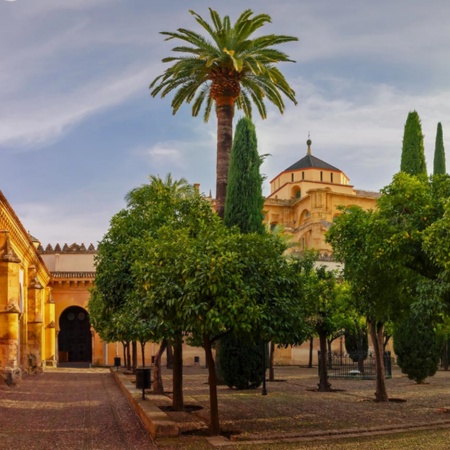 Patio des orangers de la mosquée-cathédrale de Cordoue