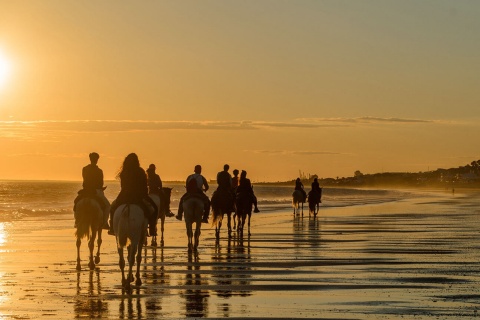  Ruta a caballo en la playa Mazagón, Huelva