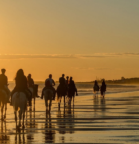 Ruta a caballo en la playa Mazagón, Huelva
