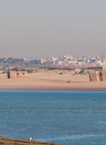 turismosanfernando.es