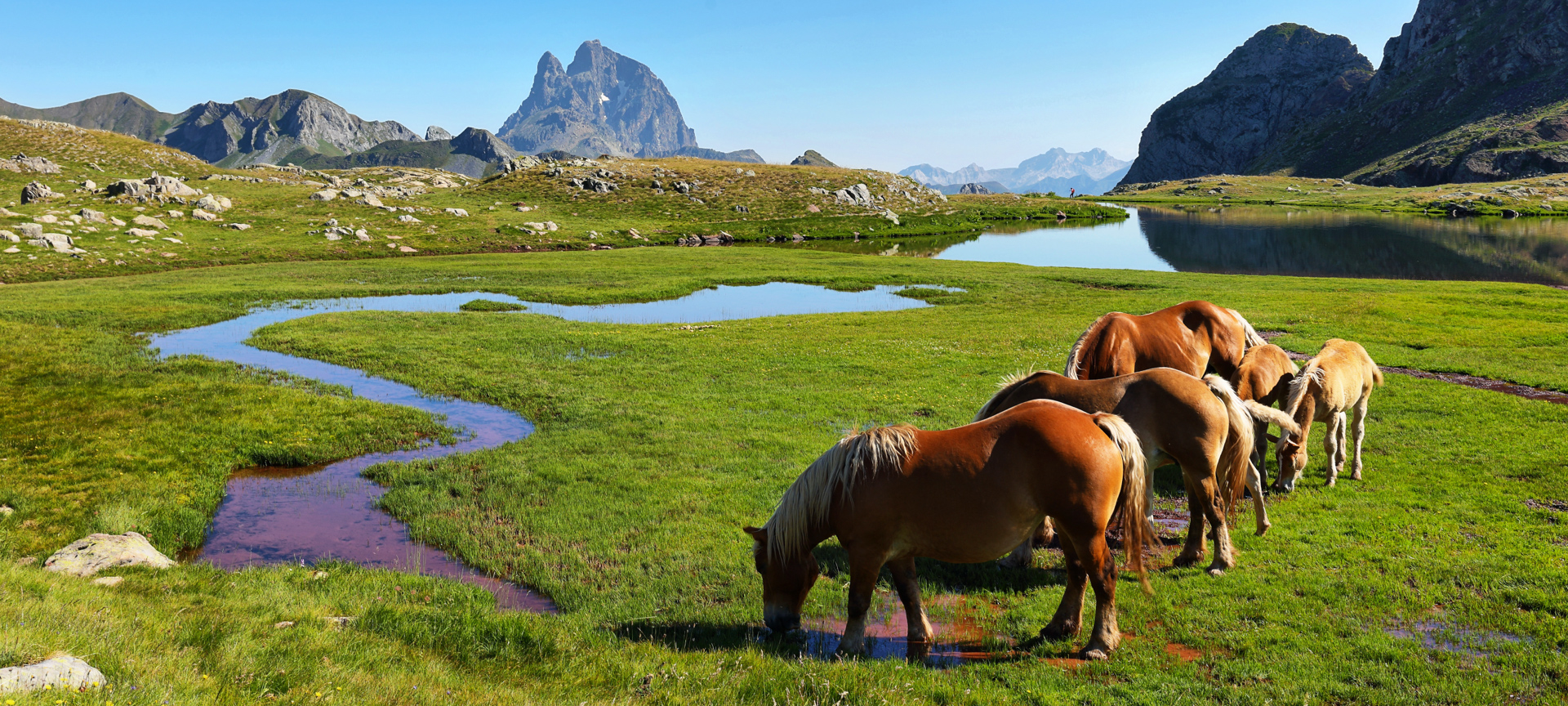 Horses at the Anayet ibón, between Canfranc and Formigal, Huesca Horses at the Anayet ibón, between Canfranc and Formigal, Huesca