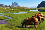 Cavalos no ibón de Anayet, entre Canfranc e Formigal, Huesca