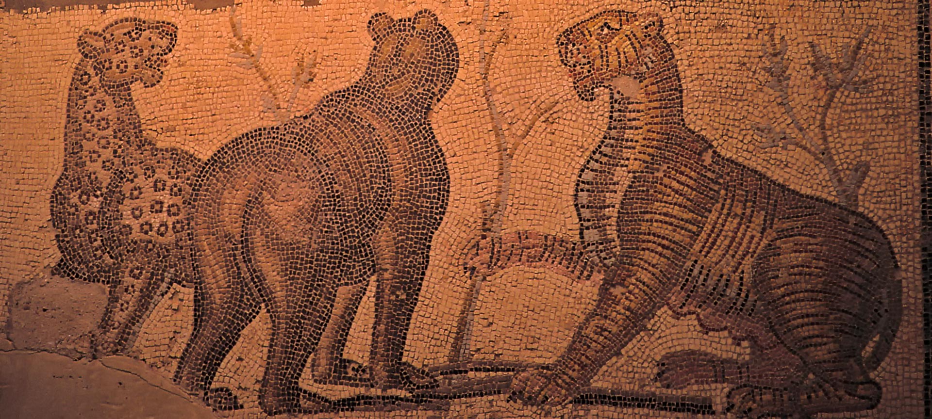 Mosaico romano no Museu de Zaragoza Mosaico romano no Museu de Zaragoza