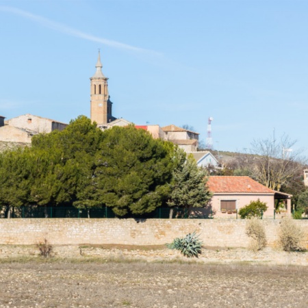 Panoramic view of Fuendetodos in Zaragoza (Aragon)