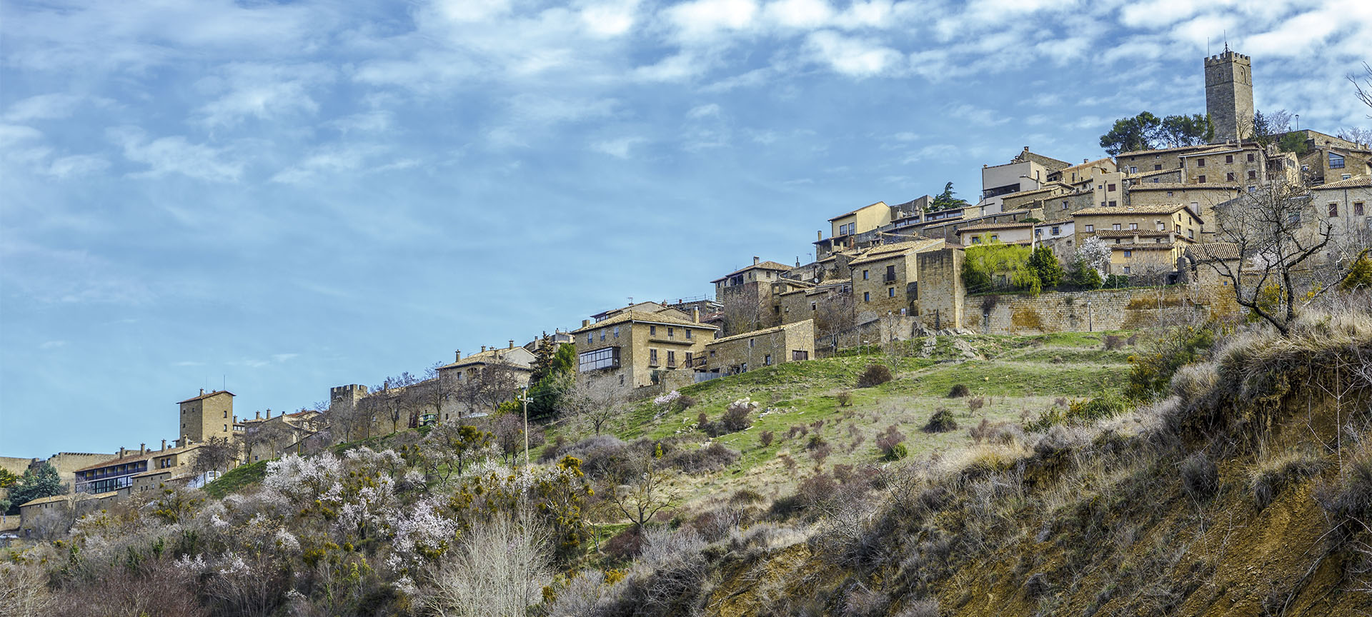 Panoramic view of Sos del Rey Católico in the province of Zaragoza (Aragon) Panoramic view of Sos del Rey Católico in the province of Zaragoza (Aragon)