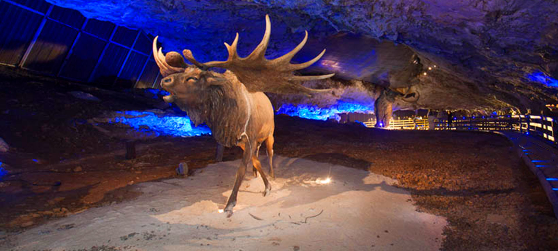 Пещера Авин. Астурия.