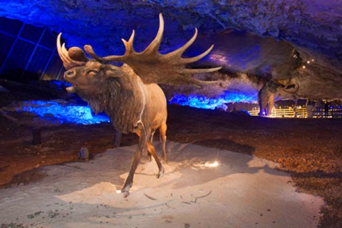 Cuevona de Avín. Asturias.