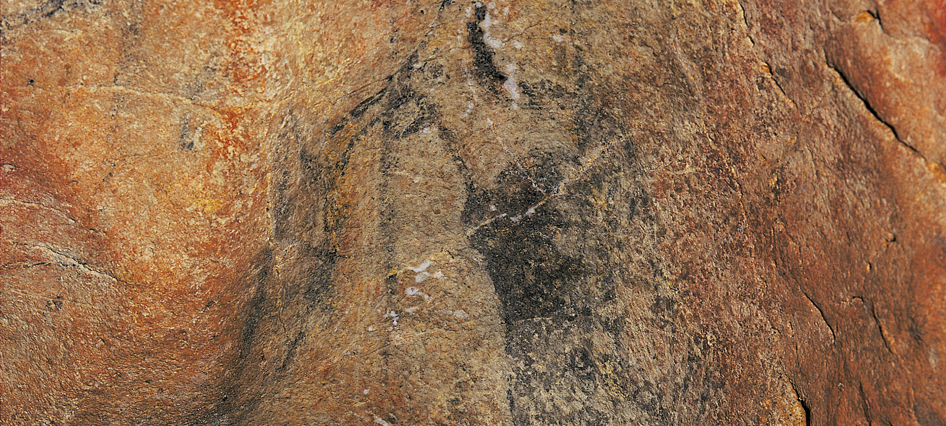 Пещера Льонин, наскальные рисунки. Астурия.