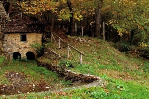 Museo del Bosque. Tineo. Asturias
