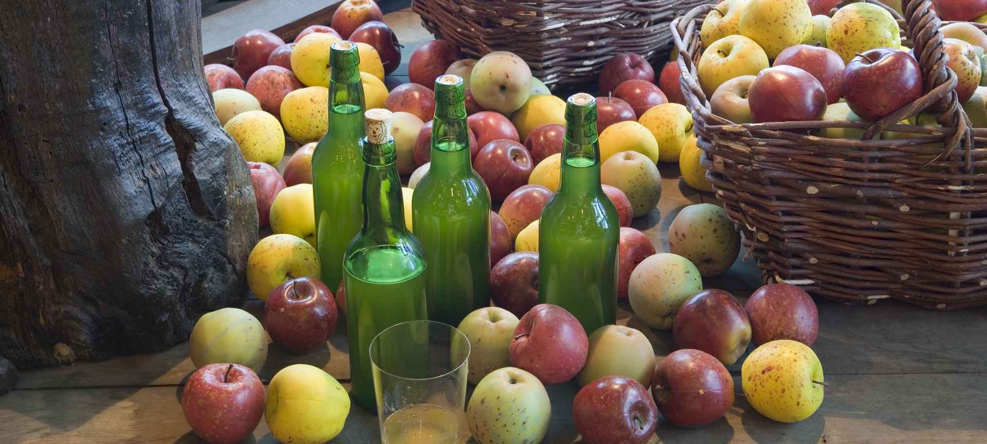 Musée du cidre. Nava. Asturies Musée du cidre. Nava. Asturies