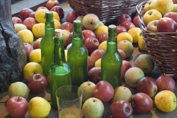 Museo del Sidro. Nava. Asturie