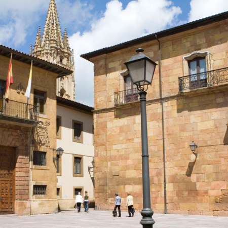 Museo Arqueológico de Asturias. Oviedo