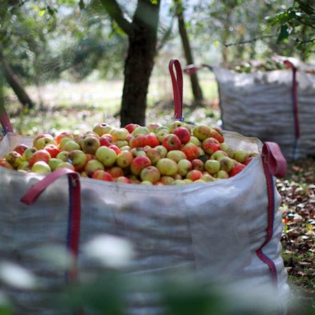 Picnic with cider in Cangas de Onís (Asturias)