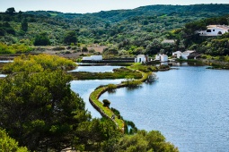 S'Albufera des Grau, Menorca