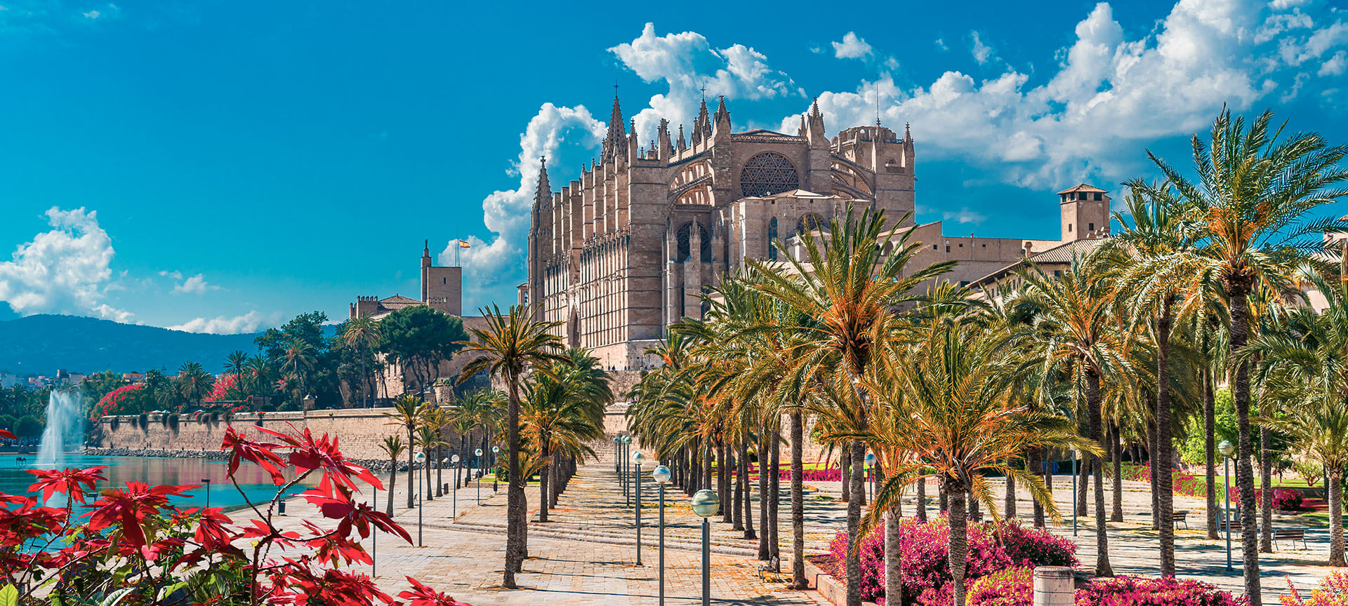 Cattedrale di Palma di Maiorca Cattedrale di Palma di Maiorca