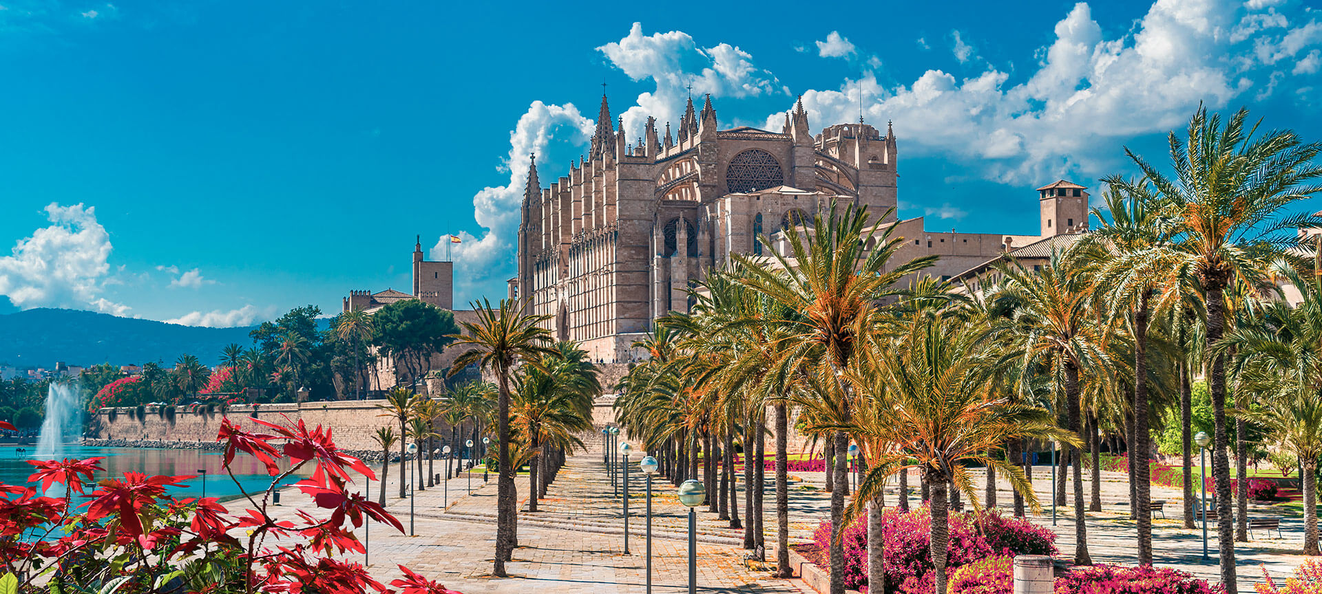 Cathedral of Palma de Mallorca