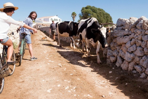 Ciclistas junto a um muro de pedra em seco em Menorca.