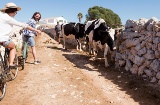 Ciclistas junto a un muro de piedra en seco en Menorca.