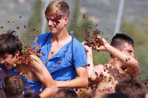 Festa da batalha de uvas de Binissalem. Maiorca