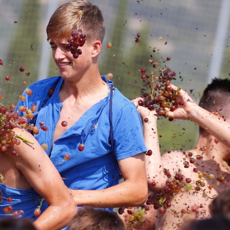 The Grape Battle and Wine Festival in Binissalem. Majorca