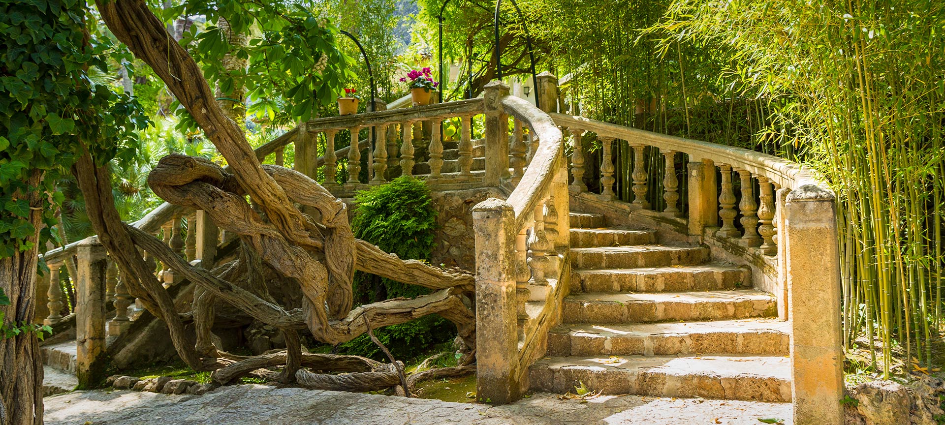 Сады Альфабии. Буньола