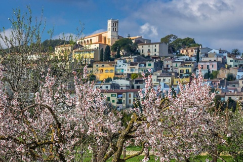 Floração na aldeia de Selva em Maiorca, Ilhas Baleares