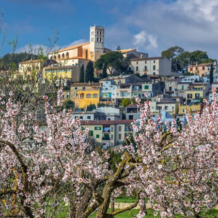 Flowering in the village of Selva in Majorca, Balearic Islands