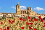 Panoramic view of Sineu in Mallorca (Balearic Islands)