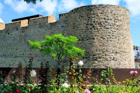 Castillo de la Luz – Fundación de Arte y Pensamiento Martín Chirino